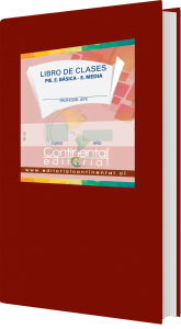 Libro de Clases Pie Básica- Media Decreto 170