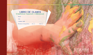 Libro de clases educación especial y/o diferencial