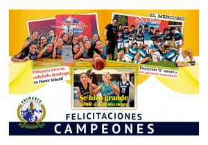 Pancartas 3x5 mts. (diseño incluido)