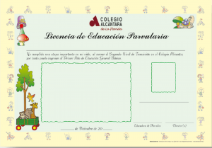 Licencias de Párvulo (Corporativa) set de 50 unidades
