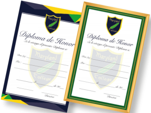 Diploma de honor corporativo (set 50 unidades)