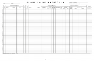 Planilla de matrícula (set 100 unidades)