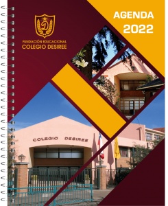 Agendas institucionales (set 700 unidades)